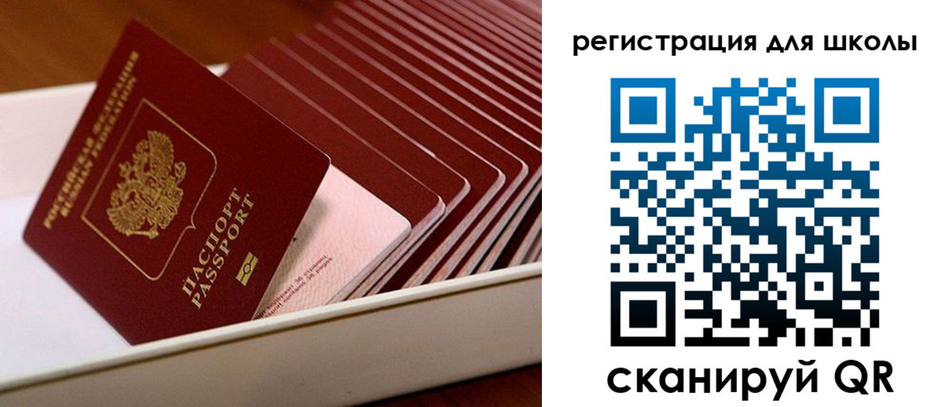 прописка гарантия в Называевске